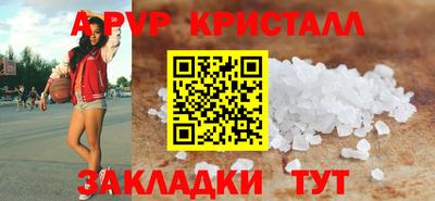 стаф Донской