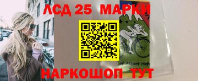 стаф Донской