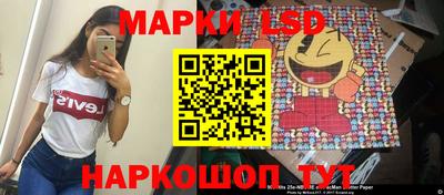 стаф Донской