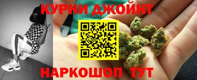 стаф Донской
