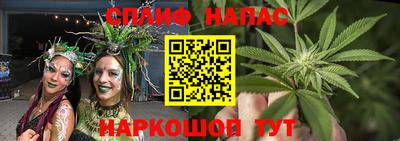 дмт Дубна