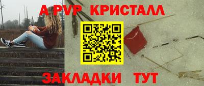 стаф Донской